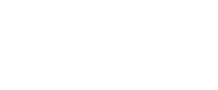logo light